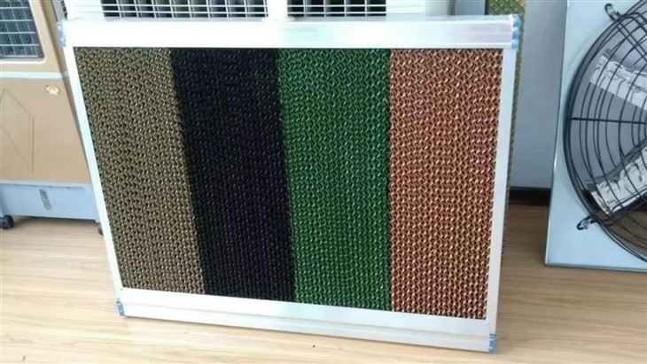 474762179_631037766273913_5707942216621854056_n